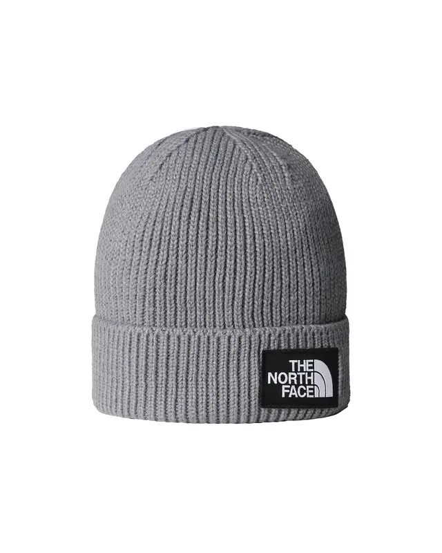 Berretto TNG Logo Box Cuffed Beanie grigio