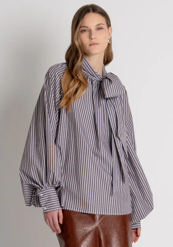 Blusa in Cotone a Righe / Marrone