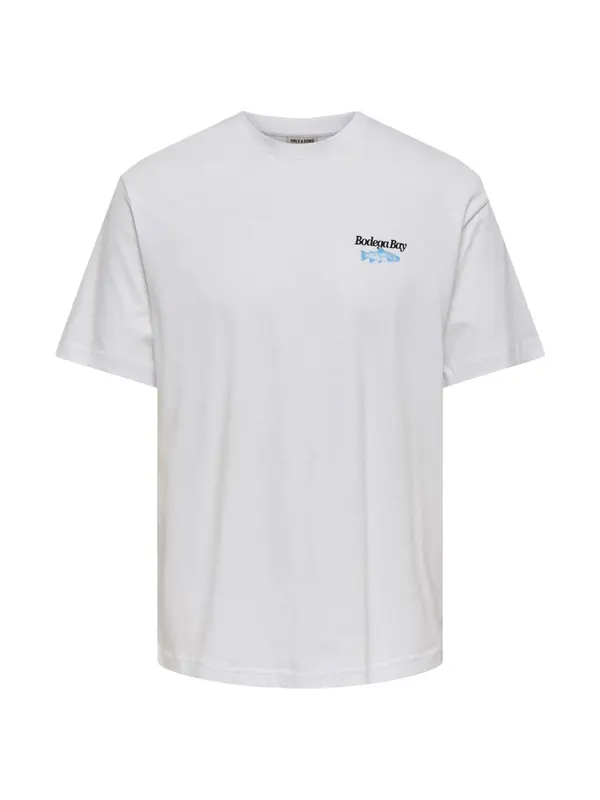 ONLY&SONS ONSFISHY LIFE RLX SS TEE