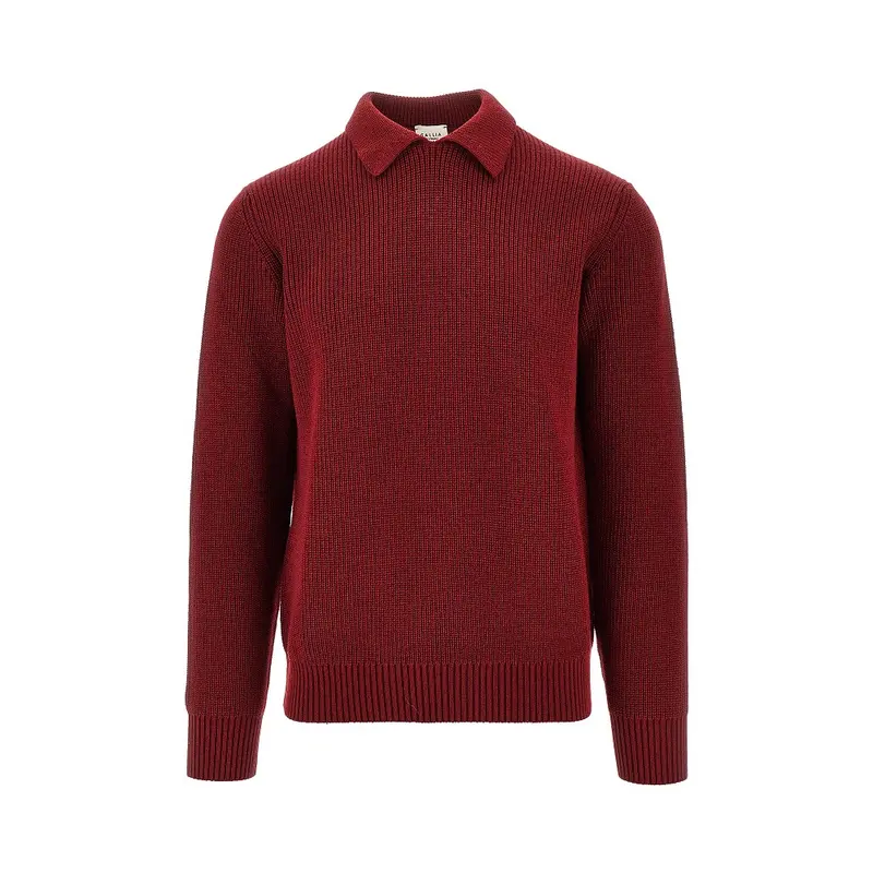 Pullover in lana merino con colletto